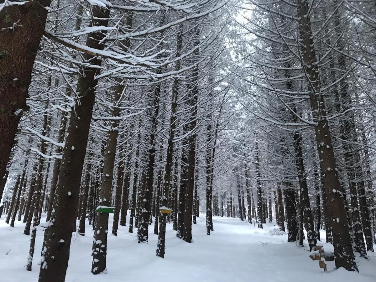 Borovets Hills Apartments - Evergreen Suite エクステリア 写真